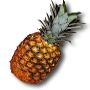 Avatar de Usuario